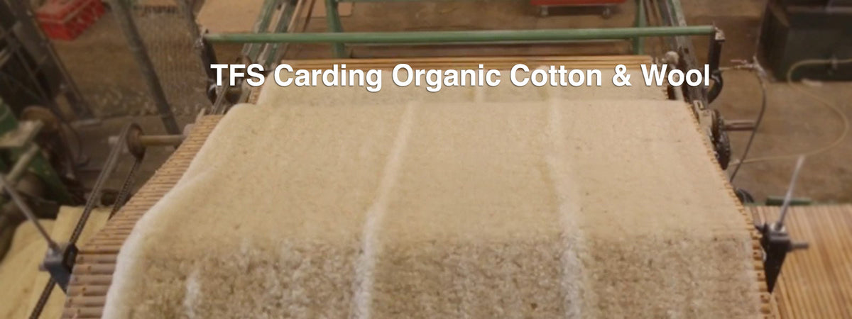 TFS Carding Organic Cotton & Wool