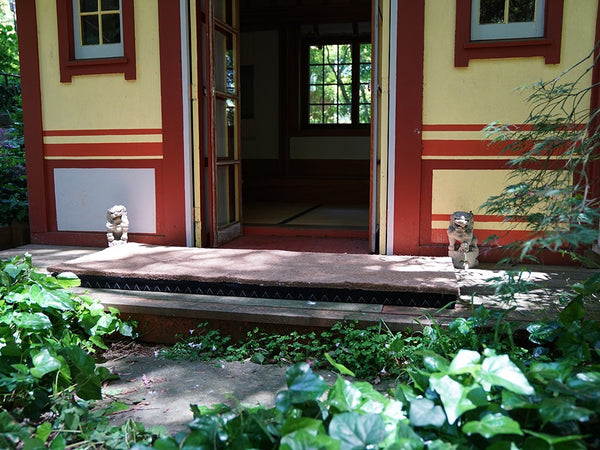 Coirpad Coconut Coir Mattress Bed Rug